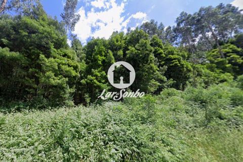 Helårsgrund i Santo Tirso, Porto, Santo Tirso - € 83.000 | Ref: 240-T-26056 - foto 6