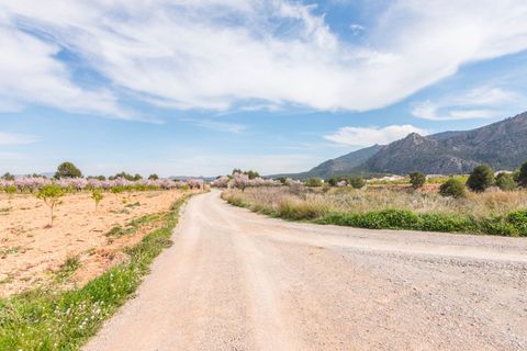 Villa i Murcia, Murcia, Murcia - € 550.000 | Ref: 078bba27-3a0d-4f73-b - foto 49