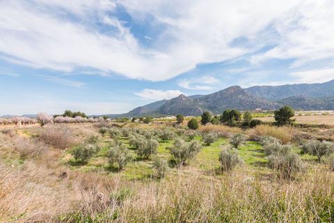 Villa i Murcia, Murcia, Murcia - € 550.000 | Ref: 078bba27-3a0d-4f73-b - foto 50