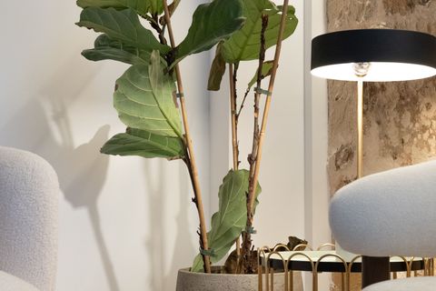 Byhus i Palma De Mallorca, Mallorca, Palma De Mallorca - € 1.250.000 | Ref: SPCRM4379 - foto 9