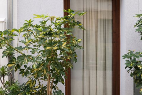 Byhus i Palma De Mallorca, Mallorca, Palma De Mallorca - € 1.250.000 | Ref: SPCRM4379 - foto 34
