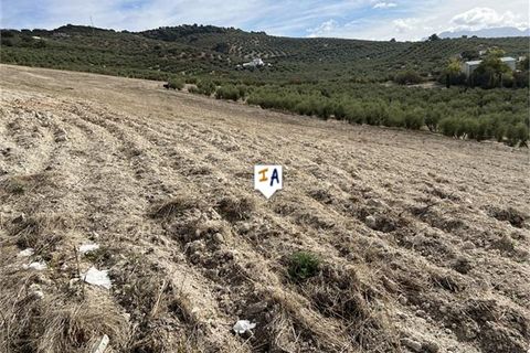 Cortijo i Rute, Cordoba, Rute - € 250.000 | Ref: CJ899 - foto 4