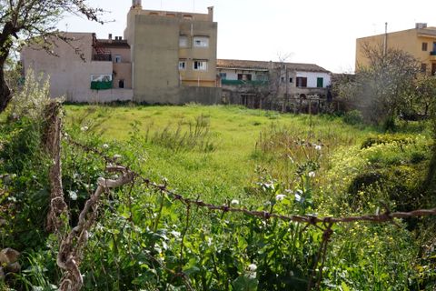 Terra a Lloseta, Mallorca, Lloseta - € 490.000 | Ref: 946 - foto 1