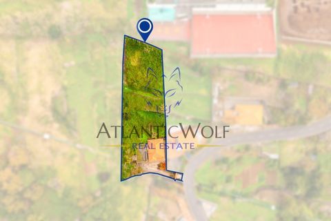 Bungalow i Calheta, Madeira, Calheta - € 675.000 | Ref: Wolf_021 - foto 5