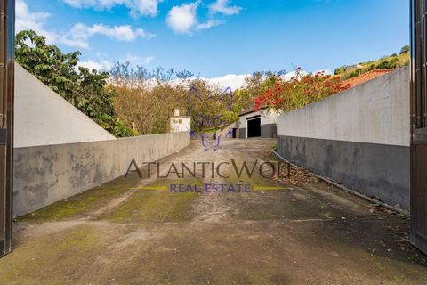 Bungalow i Calheta, Madeira, Calheta - € 675.000 | Ref: Wolf_021 - foto 18