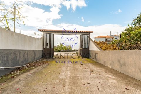 Bungalow i Calheta, Madeira, Calheta - € 675.000 | Ref: Wolf_021 - foto 20