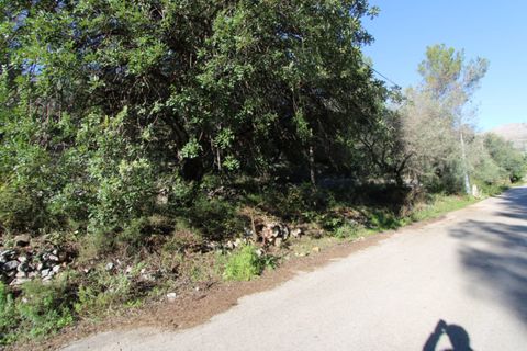 Helårsgrund i Orba, Alicante, Orba - € 90.000 | Ref: 001797 - foto 4