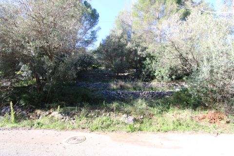 Helårsgrund i Orba, Alicante, Orba - € 90.000 | Ref: 001797 - foto 6