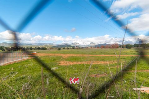 Rækkehus i Consell, Mallorca, Consell - € 534.900 | Ref: C817 - foto 36