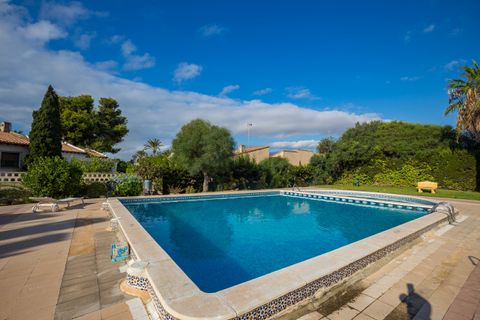 Penthouse i Punta Prima, Alicante, Punta Prima - € 246 500 | Ref: IV-11159 - foto 5
