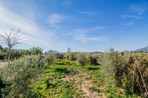 Helårsgrund i Altea, Alicante, Altea - € 399.000 | Ref: 5348 C - foto 6