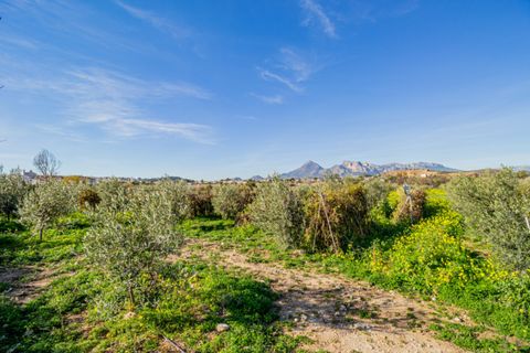 Helårsgrund i Altea, Alicante, Altea - € 399.000 | Ref: 5348 C - foto 7