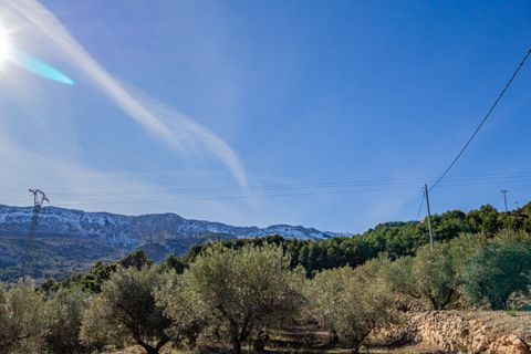 Terra a Benifato, Alicante, Benifato - € 140.000 | Ref: 5349 C - foto 2