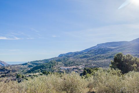 Terra a Benifato, Alicante, Benifato - € 140.000 | Ref: 5349 C - foto 3