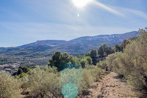 Terra a Benifato, Alicante, Benifato - € 140.000 | Ref: 5349 C - foto 4