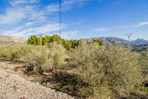 Terra a Benifato, Alicante, Benifato - € 140.000 | Ref: 5349 C - foto 5