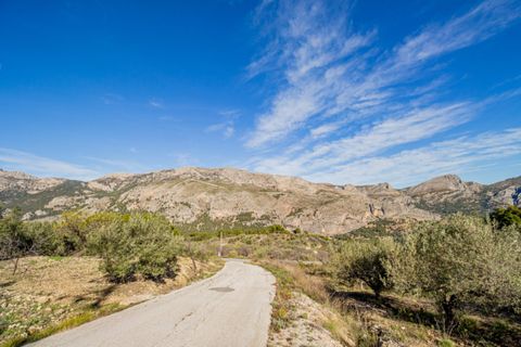 Terra a Benifato, Alicante, Benifato - € 140.000 | Ref: 5349 C - foto 7