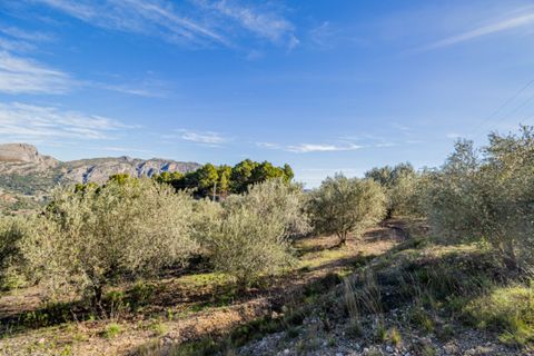 Terra a Benifato, Alicante, Benifato - € 140.000 | Ref: 5349 C - foto 8
