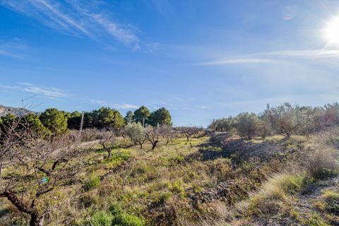 Terra a Benifato, Alicante, Benifato - € 140.000 | Ref: 5349 C - foto 9