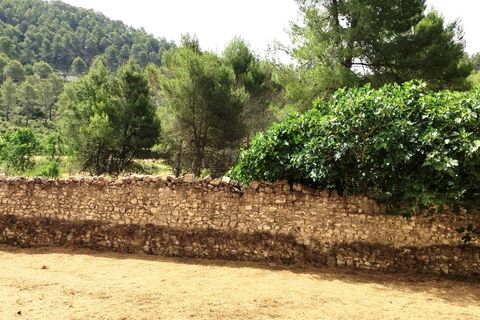 Finca i Alcoy, Alicante, Alcoy - € 550.000 | Ref: 2858 - foto 8