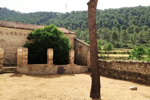 Finca i Alcoy, Alicante, Alcoy - € 550.000 | Ref: 2858 - foto 30