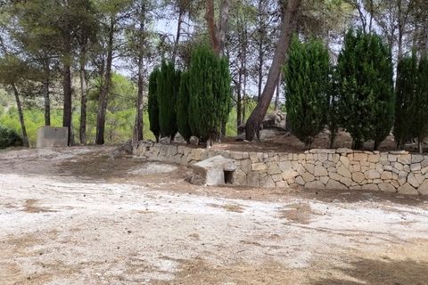 Finca i Alcoy, Alicante, Alcoy - € 550.000 | Ref: 2858 - foto 33