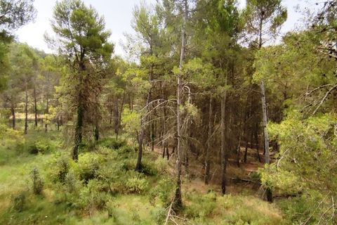 Finca i Alcoy, Alicante, Alcoy - € 550.000 | Ref: 2858 - foto 35