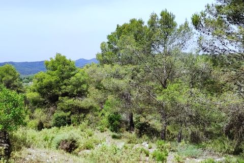 Finca i Alcoy, Alicante, Alcoy - € 550.000 | Ref: 2858 - foto 36