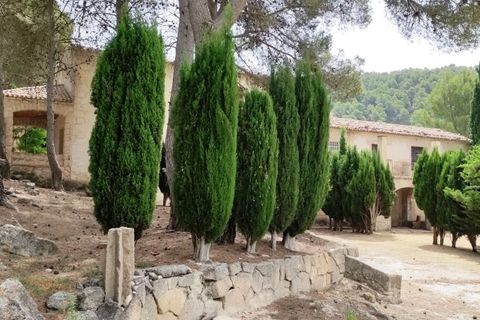 Finca i Alcoy, Alicante, Alcoy - € 550.000 | Ref: 2858 - foto 38