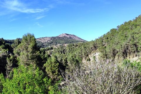 Finca i Alcoy, Alicante, Alcoy - € 450.000 | Ref: 2948 - foto 32