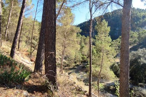 Finca i Alcoy, Alicante, Alcoy - € 450.000 | Ref: 2948 - foto 43