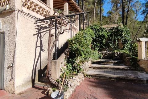 Finca i Alcoy, Alicante, Alcoy - € 450.000 | Ref: 2948 - foto 48