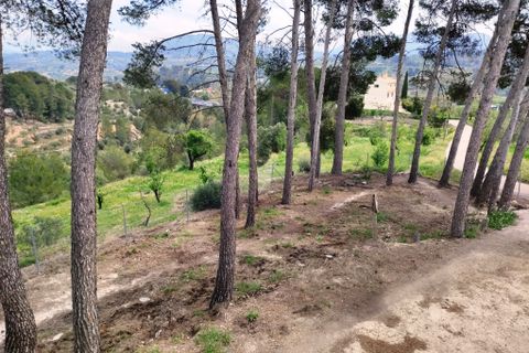 Finca a Cocentaina, Alicante, Cocentaina - € 330.000 | Ref: 2981 - foto 45
