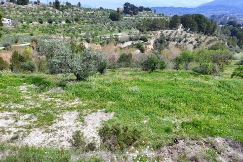 Finca a Cocentaina, Alicante, Cocentaina - € 330.000 | Ref: 2981 - foto 49