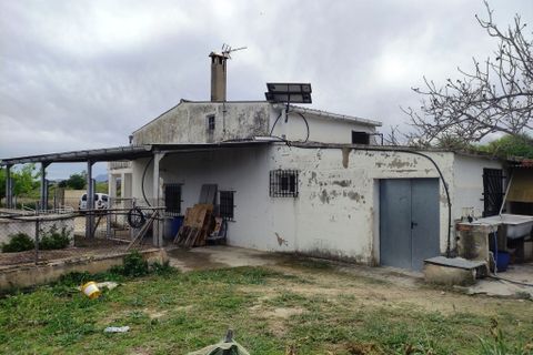 Landejendom i Albaida, Valencia, Albaida - € 110.000 | Ref: 2982 - foto 3