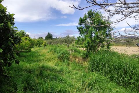 Landejendom i Albaida, Valencia, Albaida - € 110.000 | Ref: 2982 - foto 17