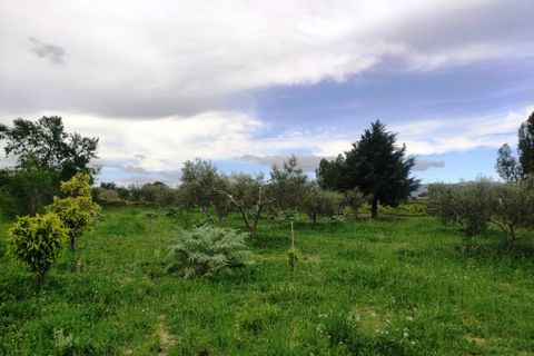 Landejendom i Albaida, Valencia, Albaida - € 110.000 | Ref: 2982 - foto 18