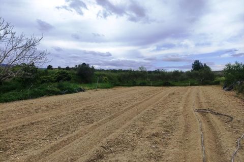 Landejendom i Albaida, Valencia, Albaida - € 110.000 | Ref: 2982 - foto 22
