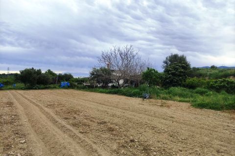 Landejendom i Albaida, Valencia, Albaida - € 110.000 | Ref: 2982 - foto 23