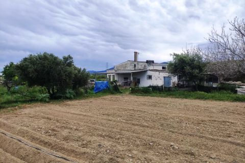 Landejendom i Albaida, Valencia, Albaida - € 110.000 | Ref: 2982 - foto 24