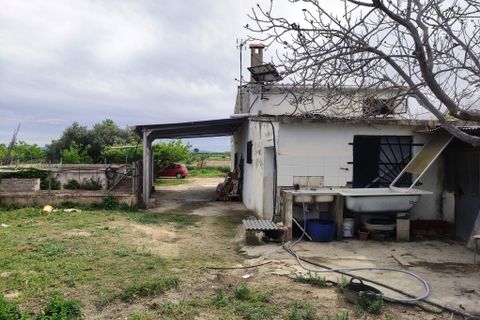 Landejendom i Albaida, Valencia, Albaida - € 110.000 | Ref: 2982 - foto 25