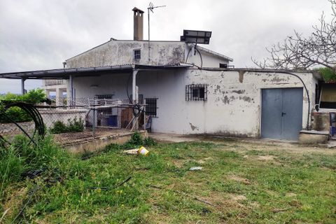 Landejendom i Albaida, Valencia, Albaida - € 110.000 | Ref: 2982 - foto 26