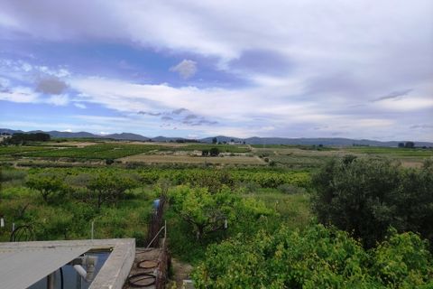 Landejendom i Albaida, Valencia, Albaida - € 110.000 | Ref: 2982 - foto 33