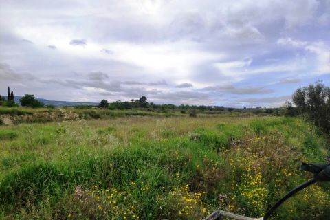 Landejendom i Albaida, Valencia, Albaida - € 110.000 | Ref: 2982 - foto 35