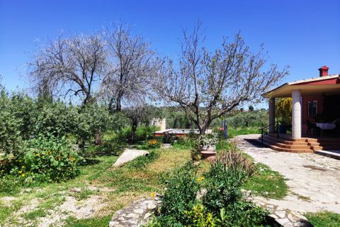 Herregård i Cocentaina, Alicante, Cocentaina - € 250 000 | Ref: 2983 - foto 35