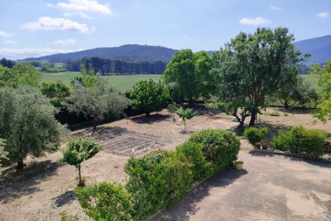 Landejendom i Alcoy, Alicante, Alcoy - € 350.000 | Ref: 2984 - foto 37