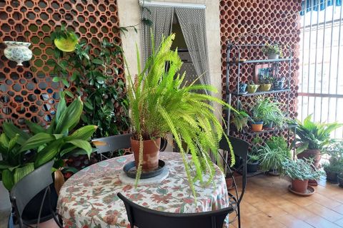 Lejlighed i Beniarbeig, Alicante, Beniarbeig - € 199.999 | Ref: 6075 - foto 4