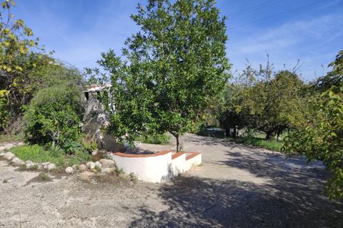 Herregård i Benifallim, Alicante, Benifallim - € 119 000 | Ref: 3000 - foto 18
