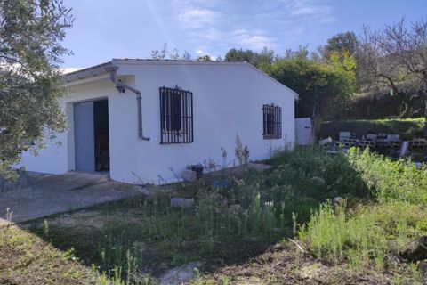 Herregård i Benifallim, Alicante, Benifallim - € 119 000 | Ref: 3000 - foto 23