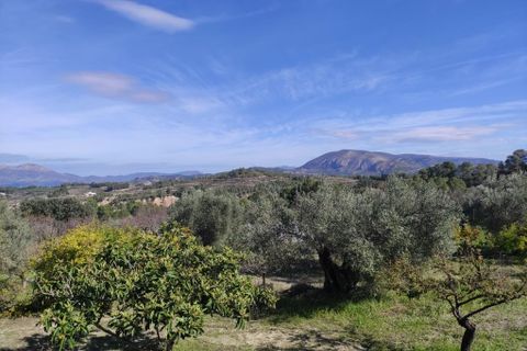 Herregård i Benifallim, Alicante, Benifallim - € 119 000 | Ref: 3000 - foto 26